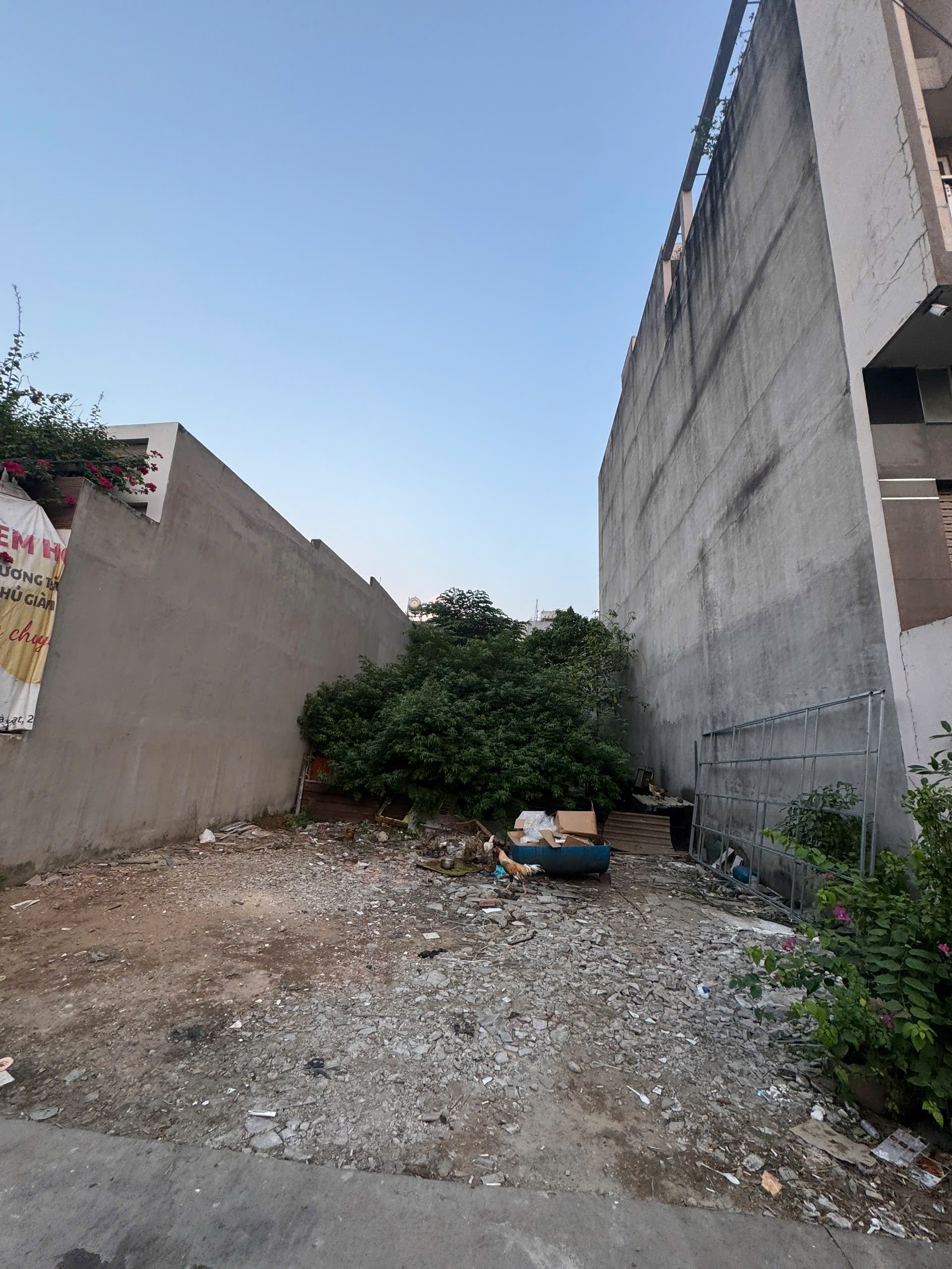 BÁN LÔ ĐẤT HẺM 7M – LÊ TRỌNG TẤN, BÌNH HƯNG HÒA – BÌNH TÂN • Diện tích: 4.3 × 24m (≈ 103m² )