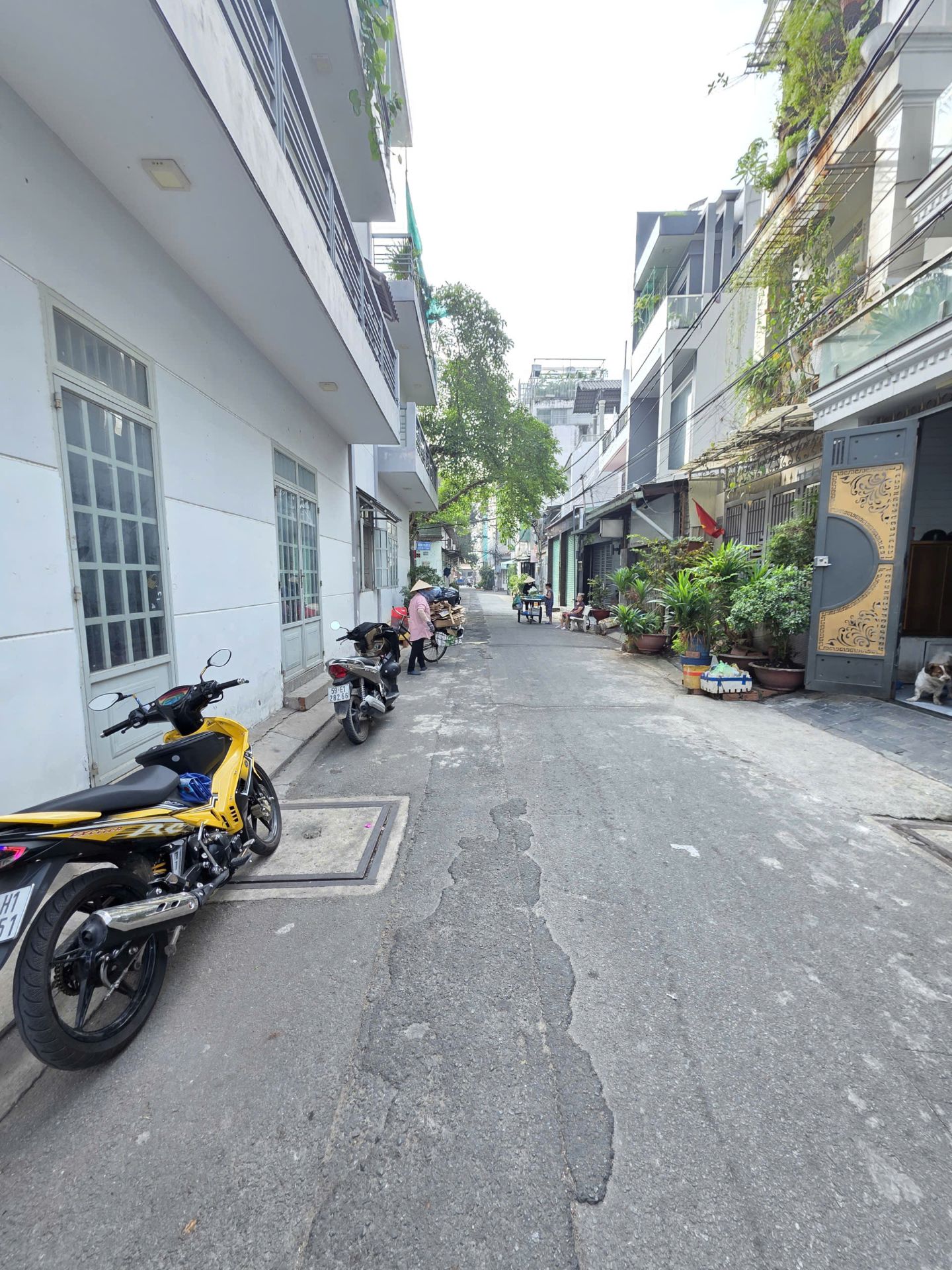 Hẻm 6m thông đường Gò Dầu Phường Tân Quý Dt 4mx12m 1 lầu giá 6,1 tỷ