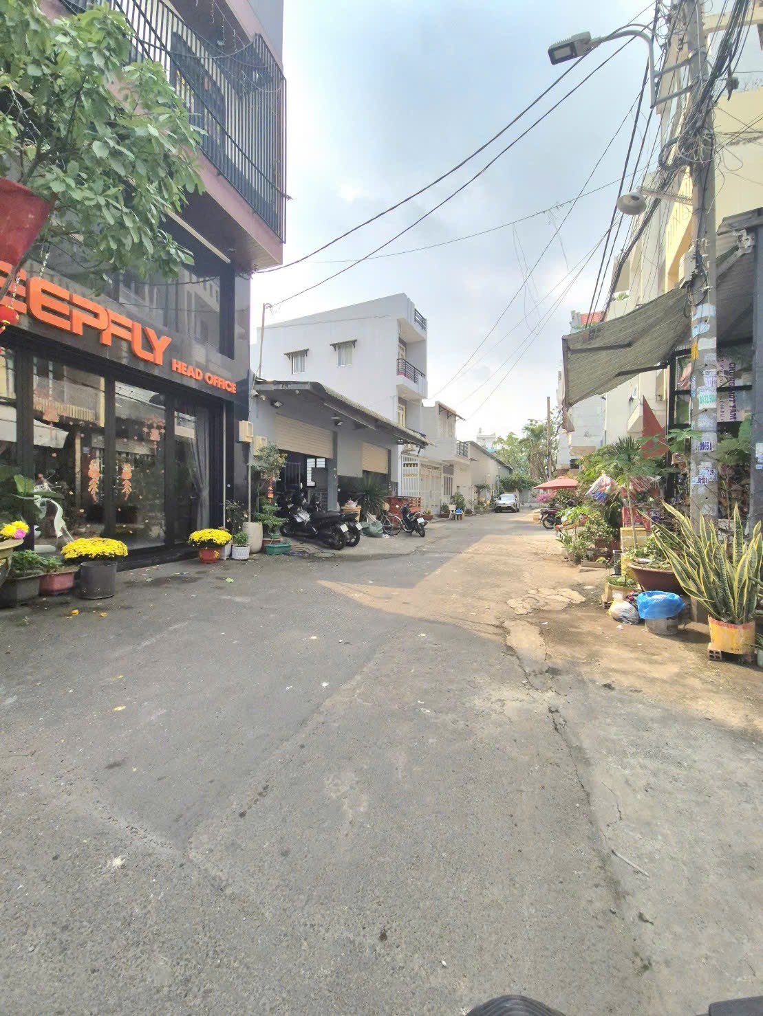 ✅ Hẻm xe hơi thông Lý Thánh Tông - Tân Phú. Dt 6x12m. Giá 7.25 tỷ
