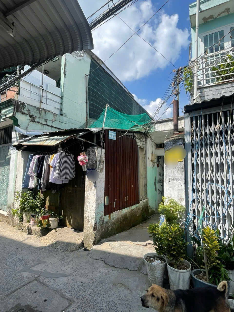 Bán nhà 1/ Hồ văn Long dt: 189m2 ,giá chỉ 37tr/m2 còn TL