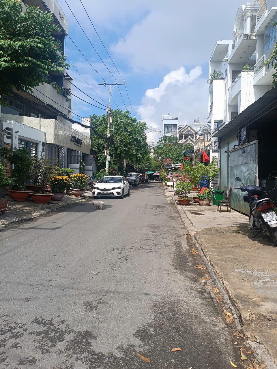 BÁN NHÀ HOÀNG NGỌC PHÁCH. Diện tích: 4m x 20m . Kết cấu: 1 trệt 2 lầu sân thượng