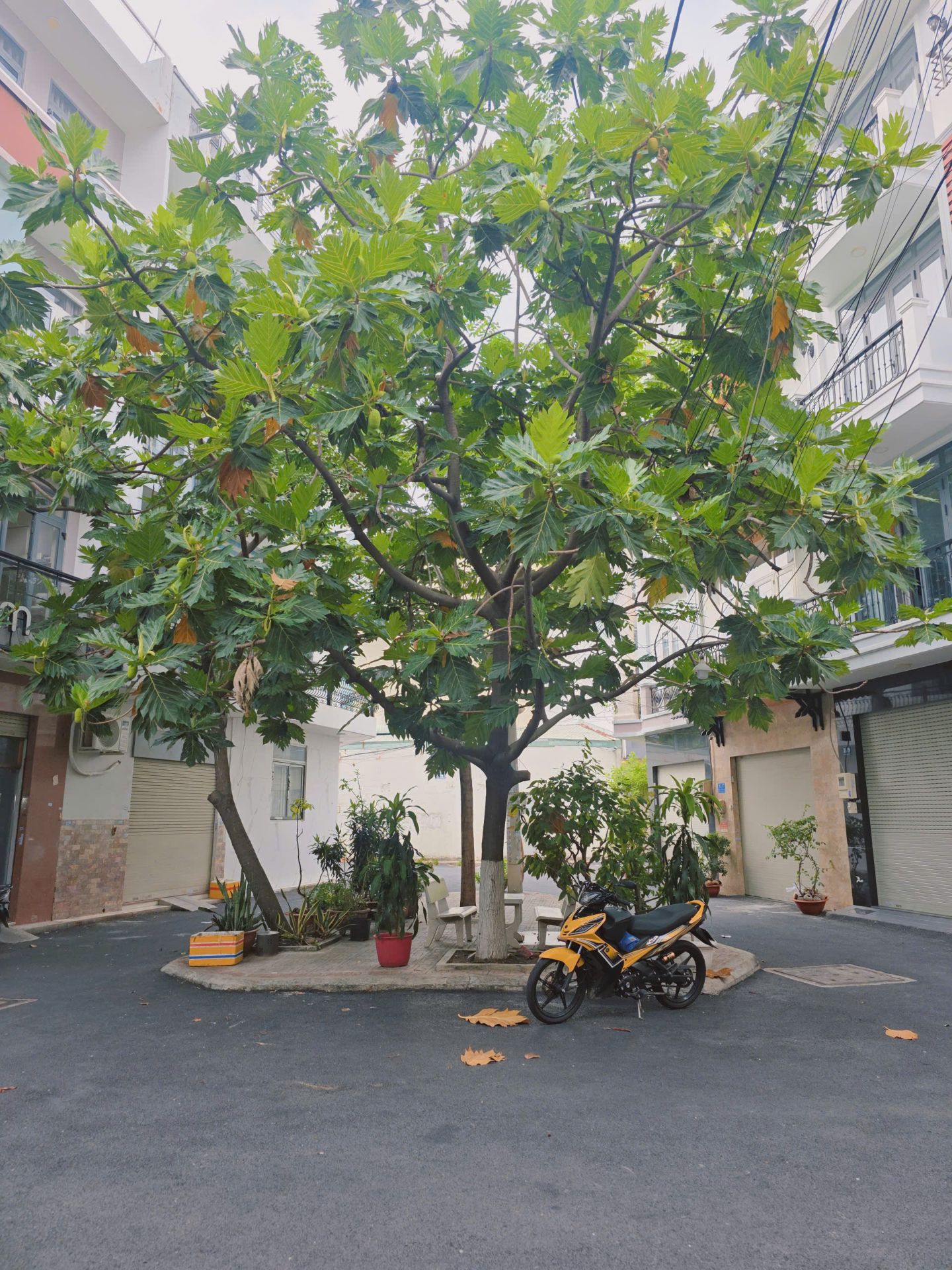 🏡 BÁN NHÀ ĐƯỜNG KÊNH NƯỚC ĐEN (ĐÀM THẬN HUY) – PHÚ THỌ HÒA, TÂN PHÚ, TP.HCM
