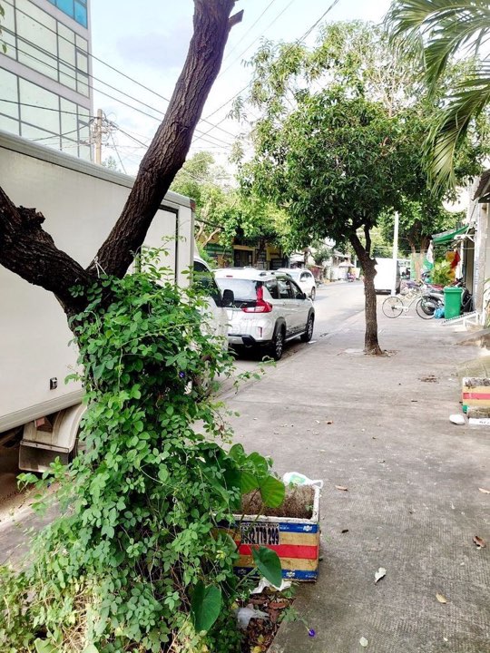 Bán Nhà 2 lầu DT: 4x20m MT Đường Trần Quang Cơ, P. Phú Thạnh, Giá: 12.1 tỷ