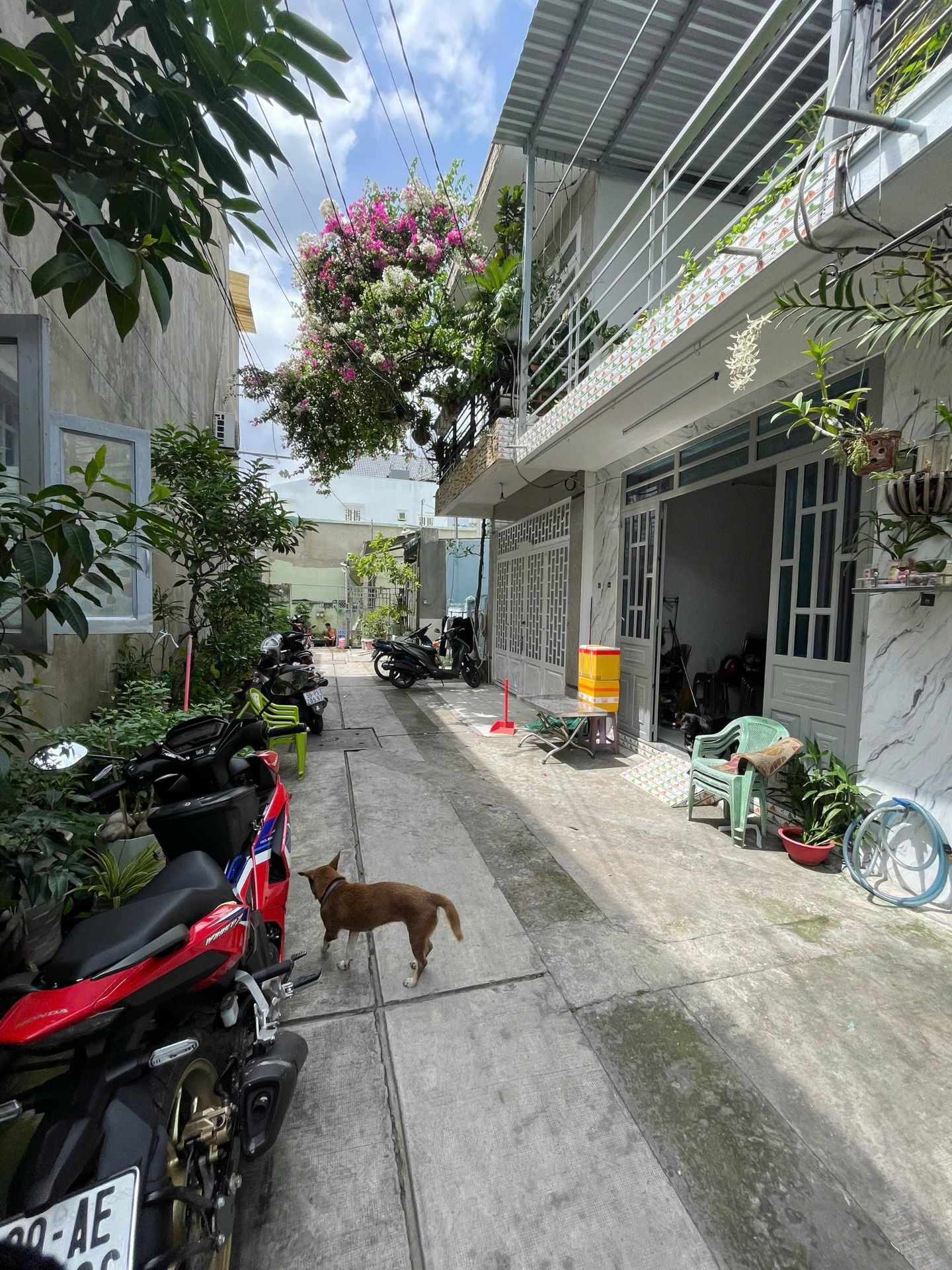 BÁN NHÀ PHẠM ĐĂNG GIẢNG – BÌNH HƯNG HÒA – 60M² – GIÁ 4.85 TỶ