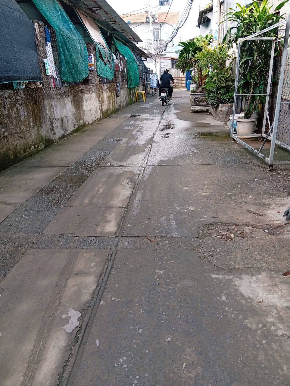 🏡 NHÀ 1 LẦU ĐƯỜNG TÂY LÂN – 111M² – NGANG 5M – GIÁ 4,5 TỶ