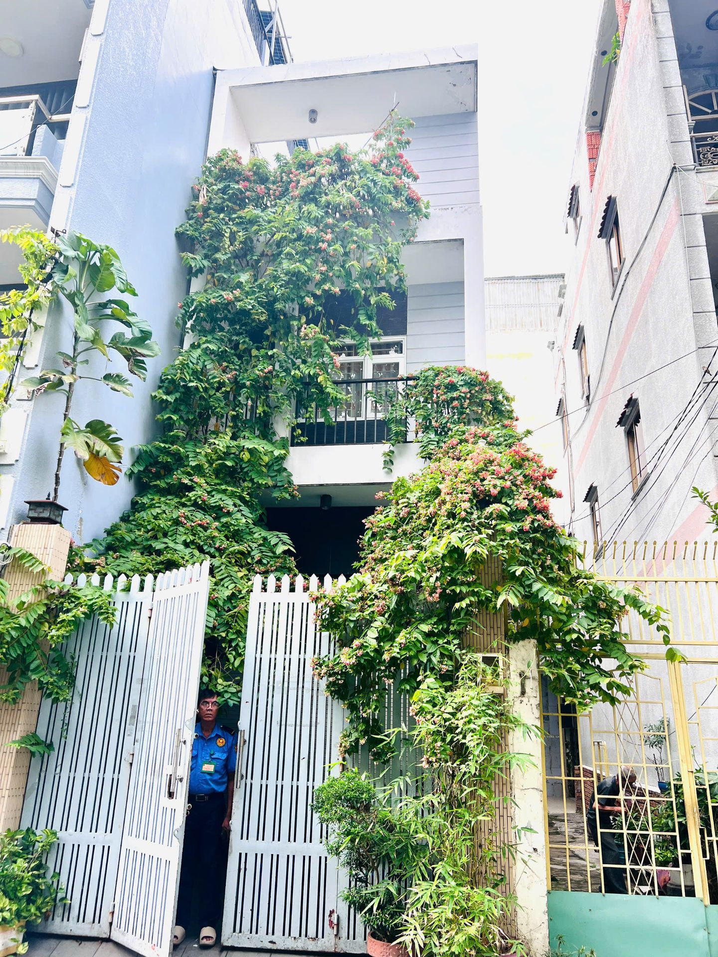 MẶT TIỀN NỘI BỘ NGUYỄN XUÂN KHOÁT, P. TÂN SƠN NHÌ – 4X21M (2 LẦU) – GIÁ 9 TỶ TL