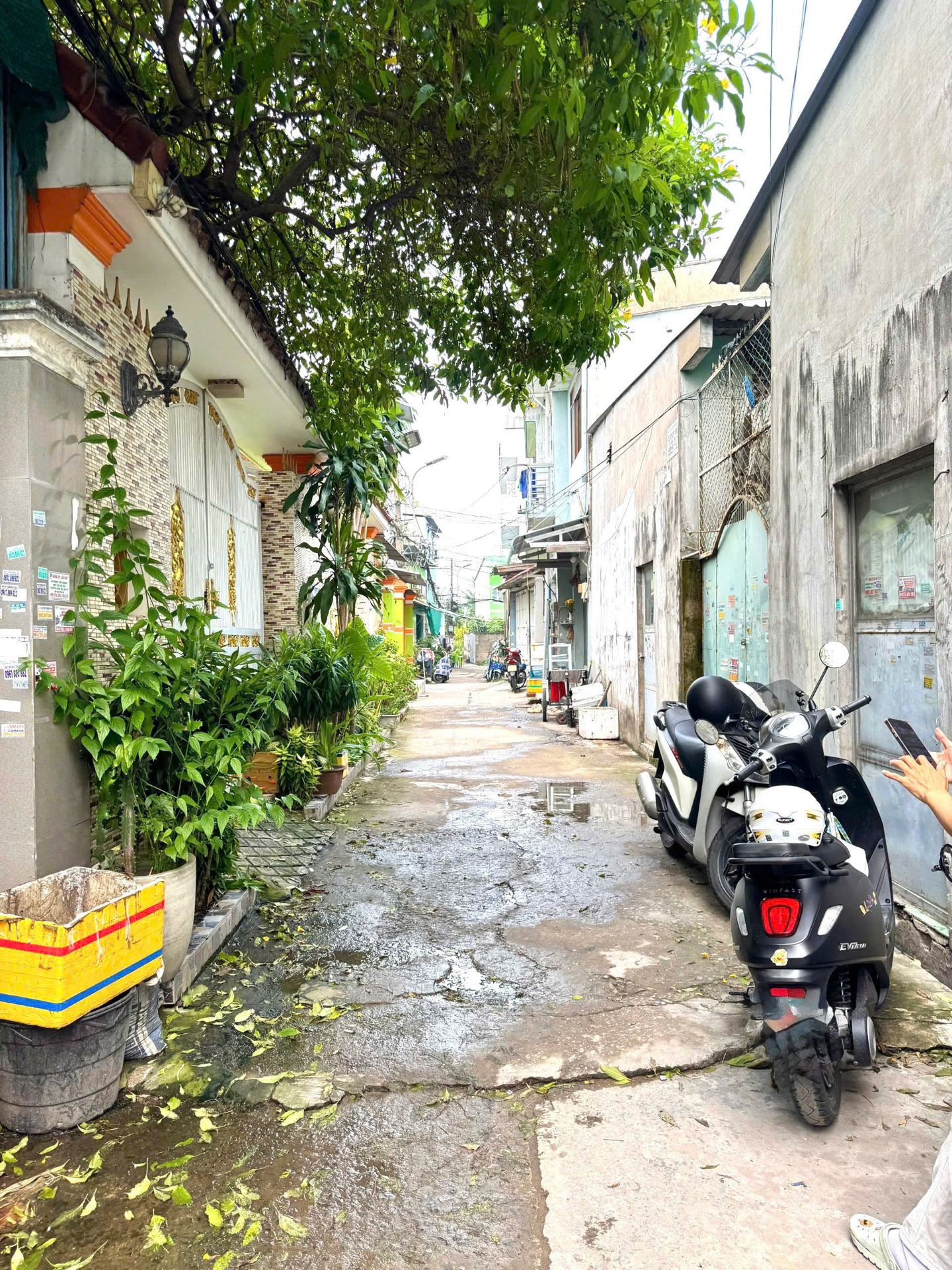 Nhà cấp 4 Bùi Tư Toàn – An Lạc – diện tích 61m² – Giá 4.08 tỷ